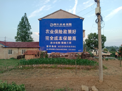 上林墙体广告的优劣势你知道吗？